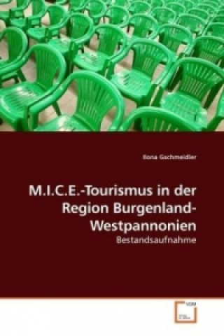 Kniha M.I.C.E.-Tourismus in der Region Burgenland-Westpannonien Ilona Gschmeidler