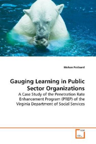 Kniha Gauging Learning in Public Sector Organizations Mohan Pokharel