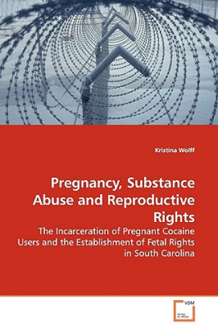 Kniha Pregnancy, Substance Abuse and Reproductive Rights Kristina Wolff