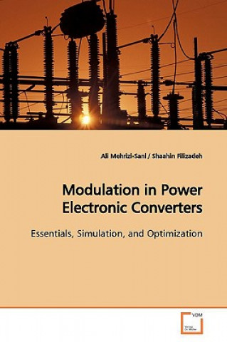 Kniha Modulation in Power Electronic Converters Ali Mehrizi-Sani