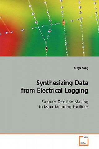 Könyv Synthesizing Data from Electrical Logging Xinyu Song