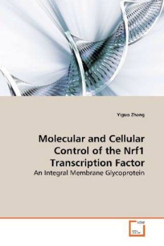 Carte Molecular and Cellular Control of the Nrf1 Transcription Factor Yiguo Zhang