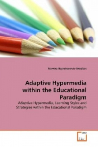 Könyv Adaptive Hypermedia within the Educational Paradigm Namira Bajraktarevic-Brookes