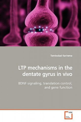 Könyv LTP mechanisms in the dentate gyrus in vivo Tambudzai Kanhema