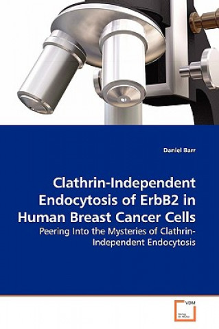 Könyv Clathrin-Independent Endocytosis of ErbB2 in Human Breast Cancer Cells Daniel Barr