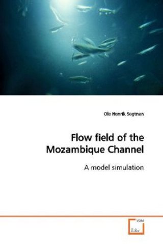 Buch Flow field of the Mozambique Channel Ole Henrik Segtnan