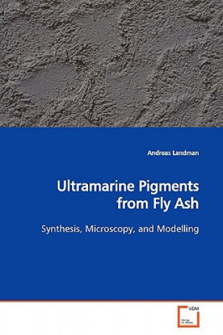 Könyv Ultramarine Pigments from Fly Ash Andreas Landman