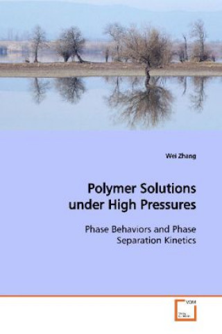 Książka Polymer Solutions under High Pressures Wei Zhang