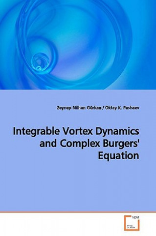 Könyv Integrable Vortex Dynamics and Complex Burgers' Equation Zeynep Nilhan Gürkan