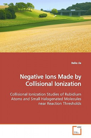 Libro Negative Ions Made by Collisional Ionization Beike Jia