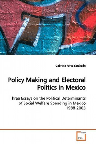 Книга Policy Making and Electoral Politics in Mexico Gabriela Pérez Yarahuán