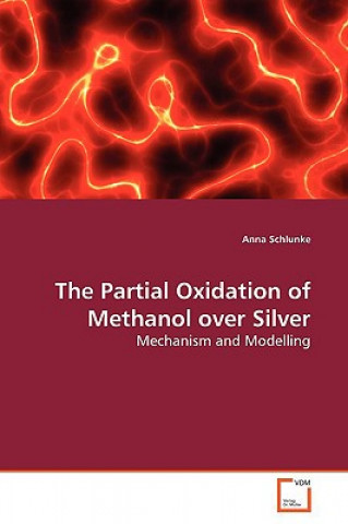 Kniha Partial Oxidation of Methanol over Silver Anna Schlunke