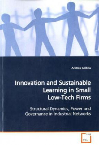Kniha Innovation and Sustainable Learning in Small Low-Tech Firms Andrea Gallina