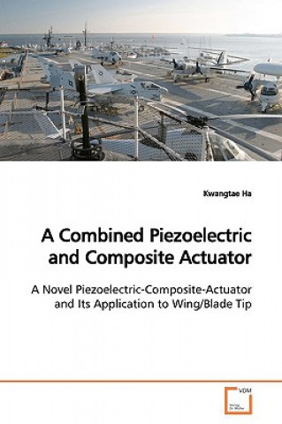 Książka Combined Piezoelectric and Composite Actuator Kwangtae Ha