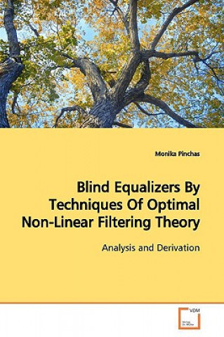 Kniha Blind Equalizers By Techniques Of Optimal Non-Linear Filtering Theory Monika Pinchas