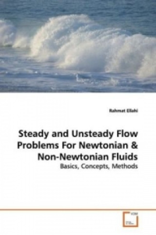 Książka Steady and Unsteady Flow Problems For Newtonian Rahmat Ellahi