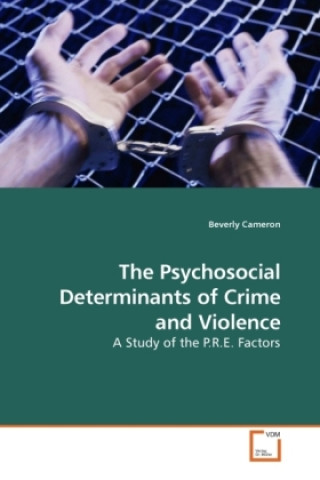 Kniha The Psychosocial Determinants of Crime and Violence Beverly Cameron