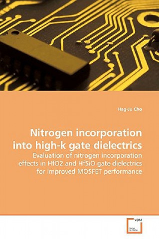 Kniha Nitrogen incorporation into high-k gate dielectrics Hag-Ju Cho