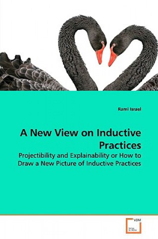 Könyv New View on Inductive Practices Rami Israel