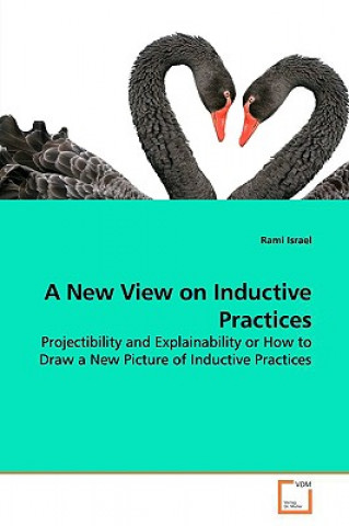 Kniha New View on Inductive Practices Rami Israel