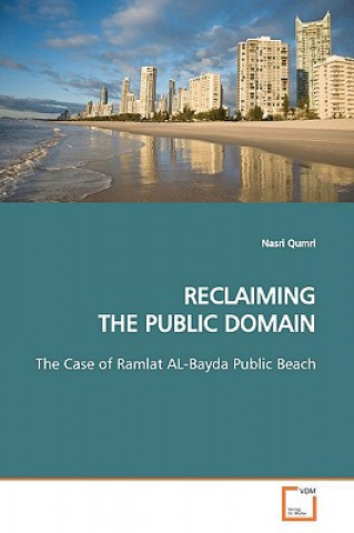 Kniha Reclaiming the Public Domain Nasri Qumri