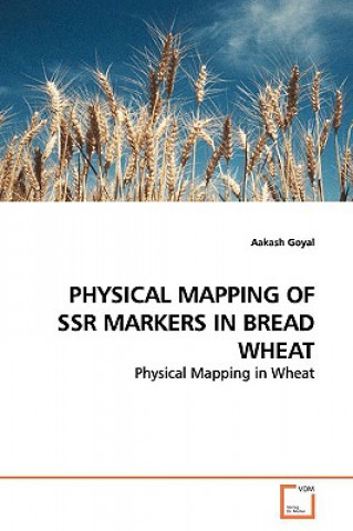 Kniha Physical Mapping of Ssr Markers in Bread Wheat Aakash Goyal