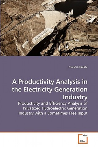 Kniha Productivity Analysis in the Electricity Generation Industry Claudia Halabi