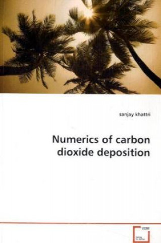 Buch Numerics of carbon dioxide deposition Sanjay Khattri