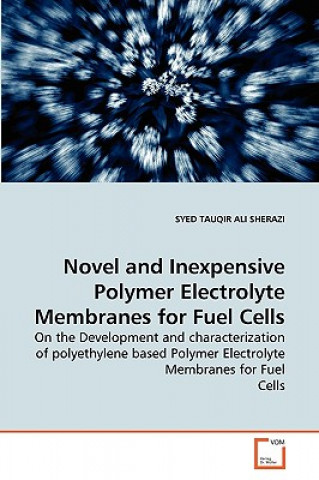 Kniha Novel and Inexpensive Polymer Electrolyte Membranes for Fuel Cells Syed T. A. Sherazi