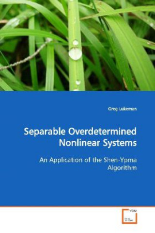 Knjiga Separable Overdetermined Nonlinear Systems Greg Lukeman