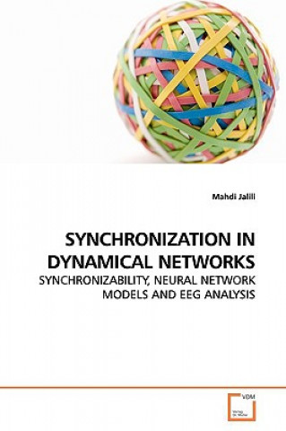 Könyv Synchronization in Dynamical Networks Mahdi Jalili