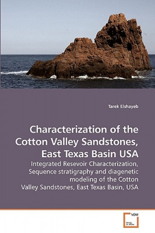 Könyv Characterization of the Cotton Valley Sandstones, East Texas Basin USA Tarek Elshayeb