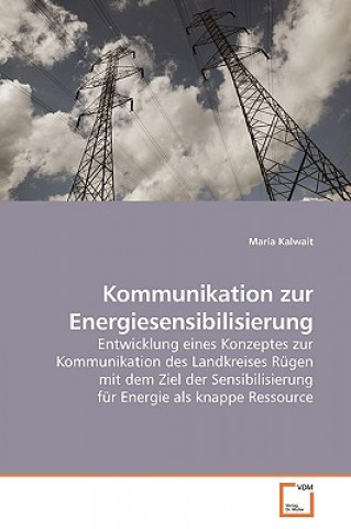 Könyv Kommunikation zur Energiesensibilisierung Maria Kalwait