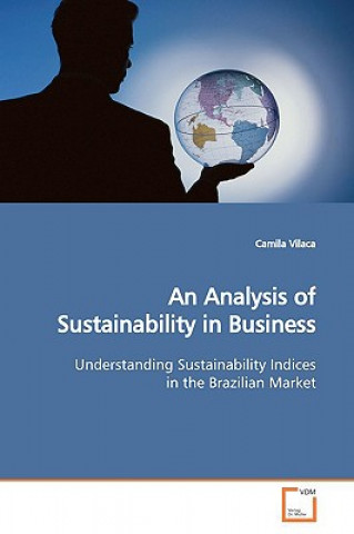 Kniha Analysis of Sustainability in Business Camila Vilaca