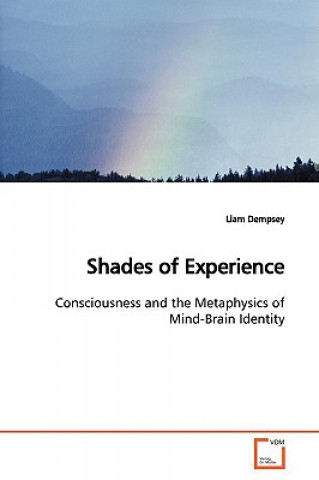 Kniha Shades of Experience Liam Dempsey