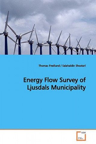 Carte Energy Flow Survey of Ljusdals Municipality Thomas Fredlund
