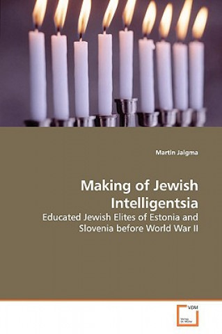 Kniha Making of Jewish Intelligentsia Martin Jaigma