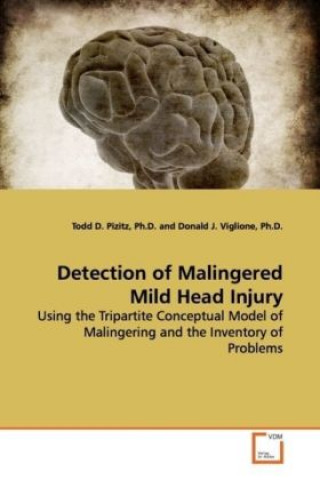 Kniha Detection of Malingered Mild Head Injury Todd D. Pizitz