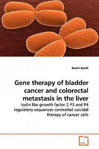 Carte Gene therapy of bladder cancer and colorectal metastasis in the liver Basim Ayesh