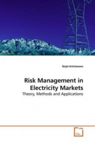 Kniha Risk Management in Electricity Markets Tarjei Kristiansen