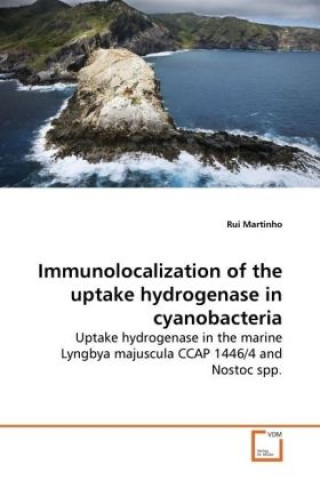 Könyv Immunolocalization of the uptake hydrogenase in cyanobacteria Rui Martinho