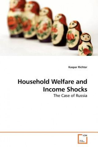 Βιβλίο Household Welfare and Income Shocks Kaspar Richter