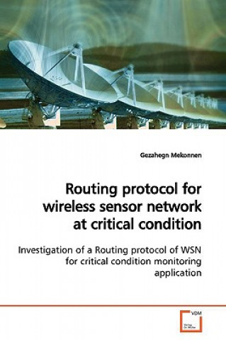 Könyv Routing protocol for wireless sensor network at critical condition Gezahegn Mekonnen