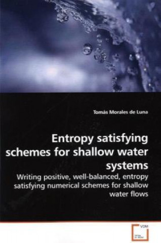 Kniha Entropy satisfying schemes for shallow water systems Tomás Morales de Luna