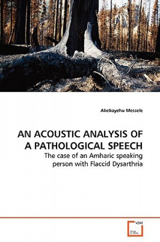 Książka Acoustic Analysis of a Pathological Speech Abebayehu Messele