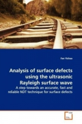 Kniha Analysis of surface defects using the ultrasonic Rayleigh surface wave Fan Yichao