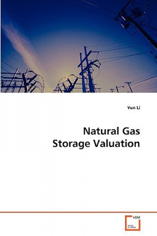 Kniha Natural Gas Storage Valuation Yun Li