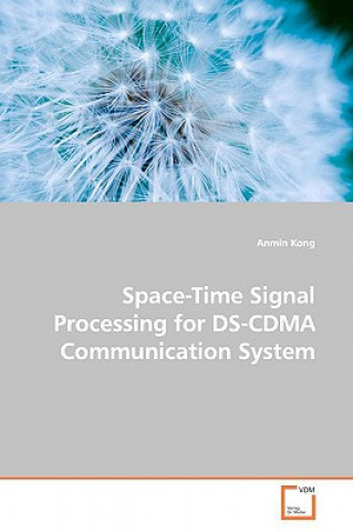 Könyv Space-Time Signal Processing for DS-CDMA Communication System Anmin Kong