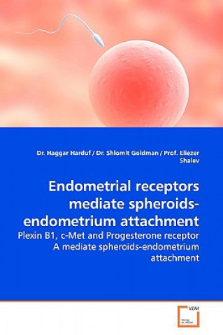 Könyv Endometrial receptors mediate spheroids-endometrium attachment Haggar Harduf