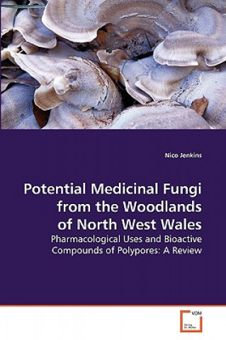 Könyv Potential Medicinal Fungi from the Woodlands of North West Wales Nico Jenkins